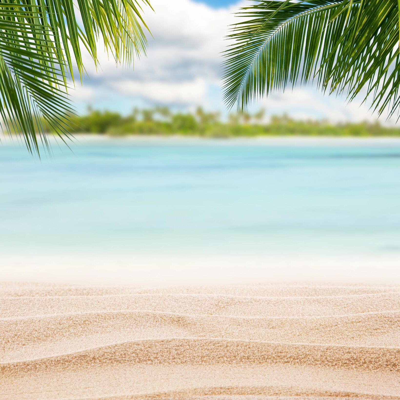 Sandy tropical beach with palm island on background