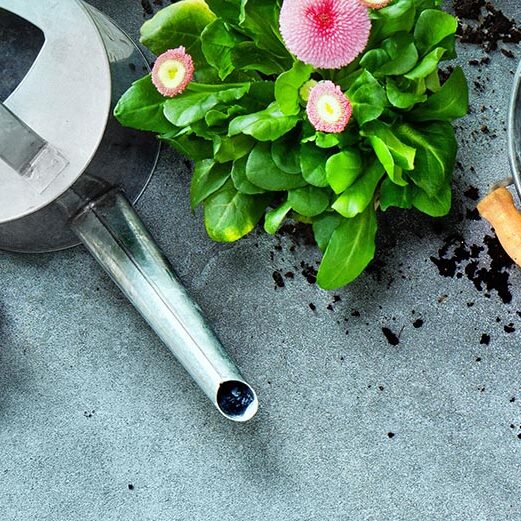 Gardening tools and spring flowers on the terrace in the garden