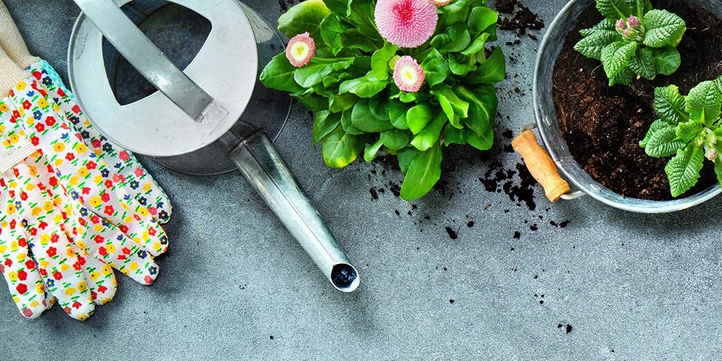 Gardening tools and spring flowers on the terrace in the garden